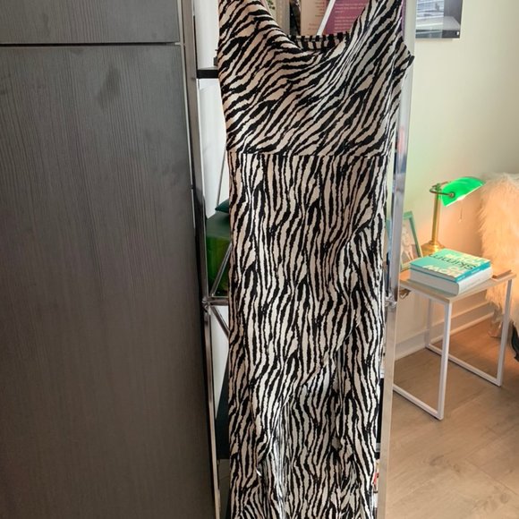 Nasty Gal Zebra Dress - Picture 2 of 3